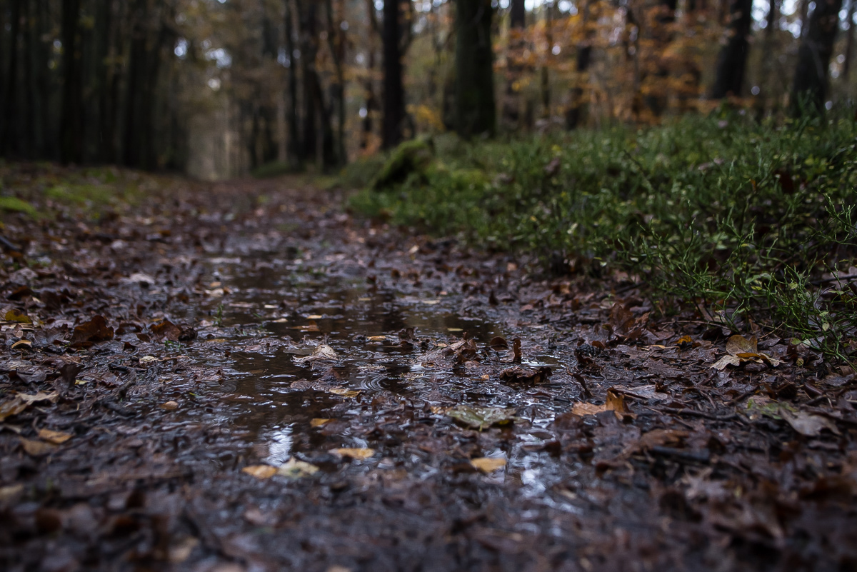 Pfützenweg 3.jpg