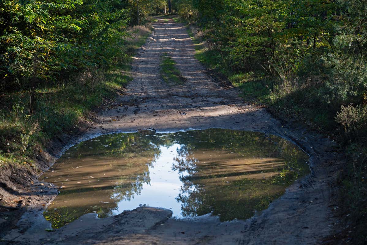 Pfützenweg.jpg
