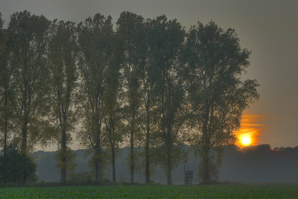 Ph HuelserBerg 3