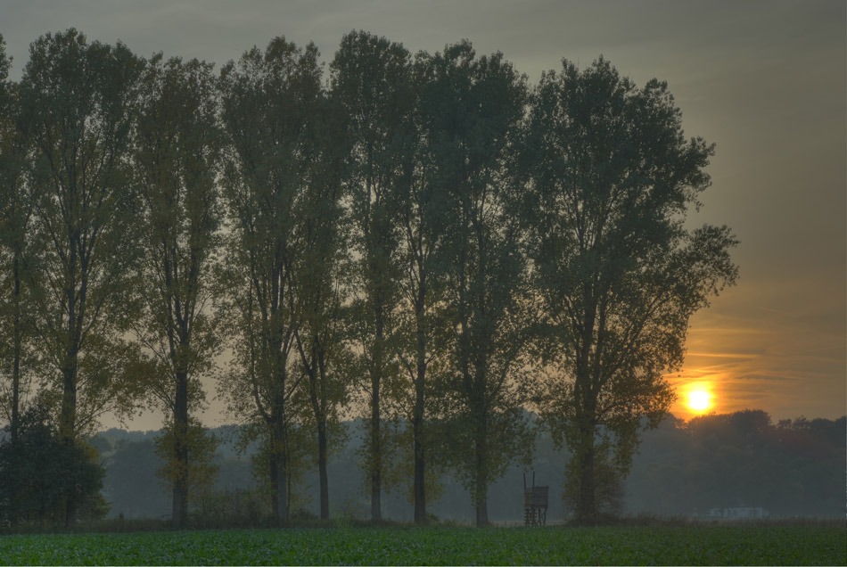 Ph HuelserBerg 5