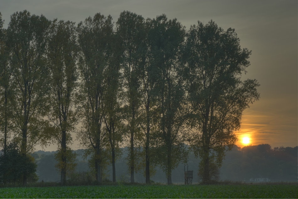 Ph HuelserBerg 9