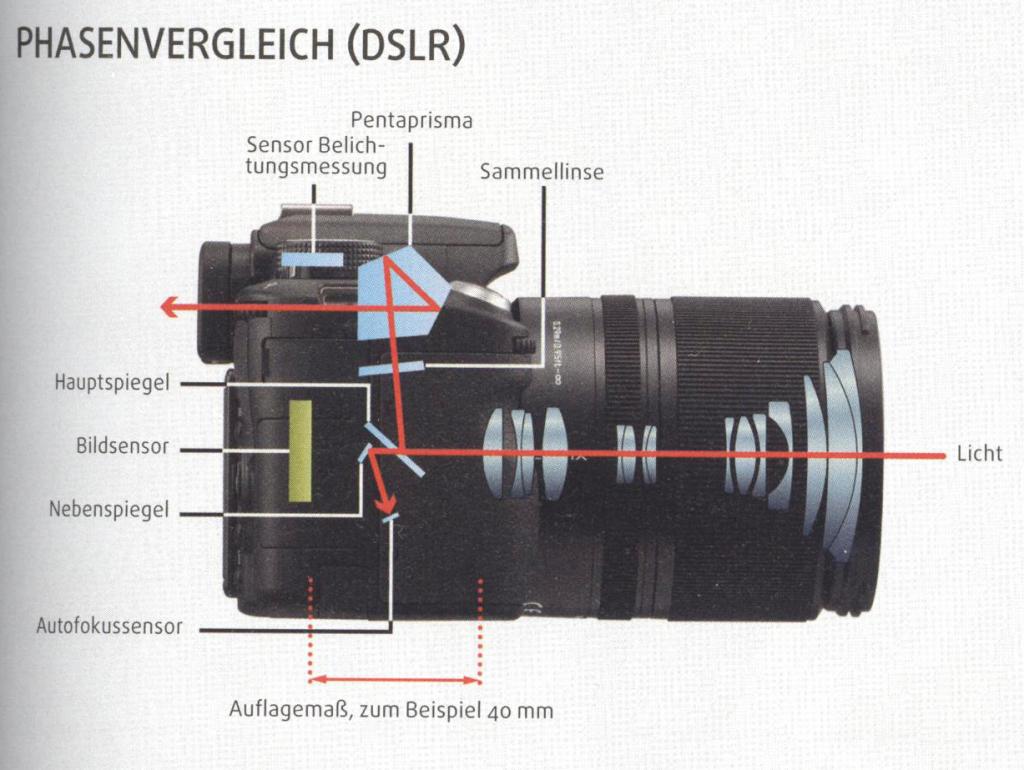phasenfokus