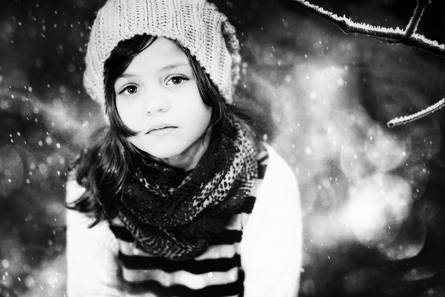 Photodesign Radloff 024