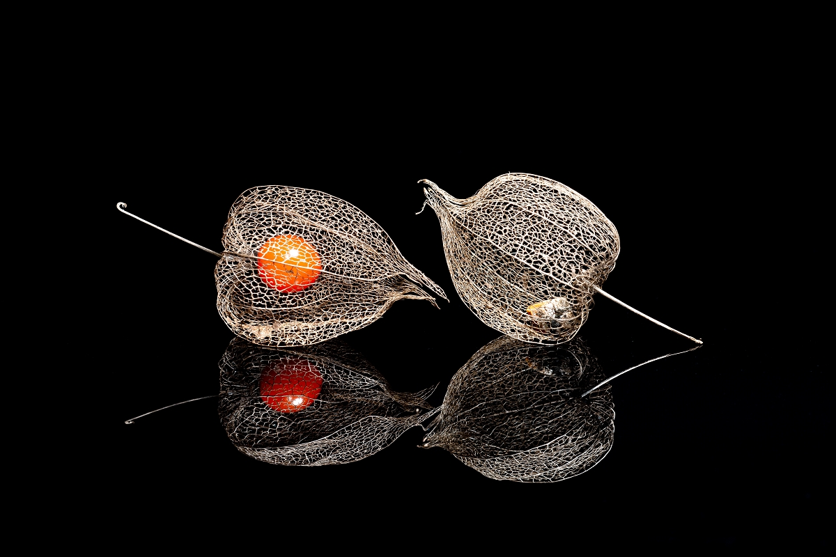 physalis.jpg