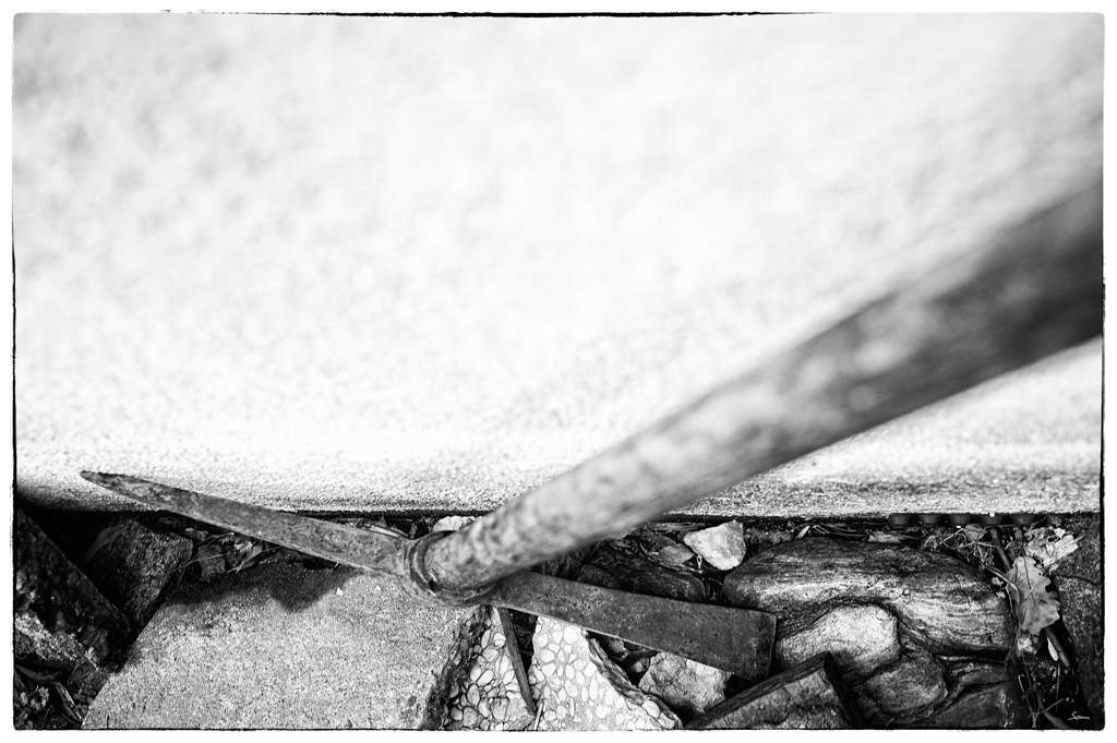 PickelDSC 9855