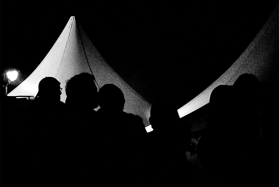 Picknick im Park 2008