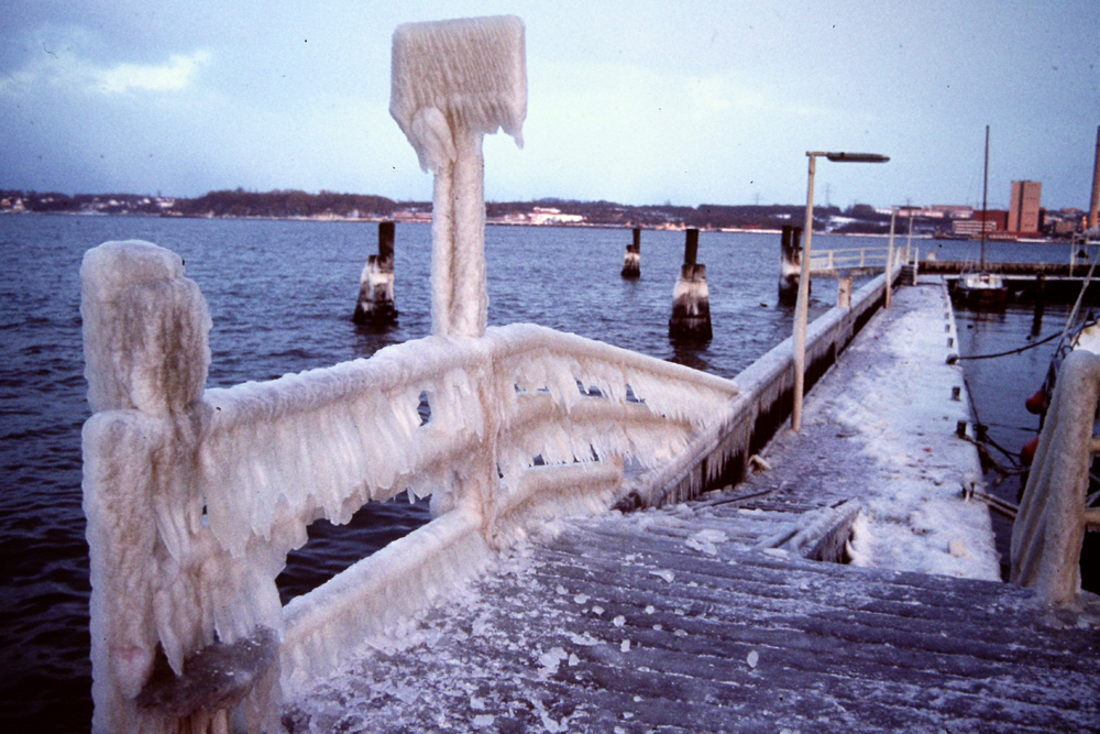 PICT0445.jpg