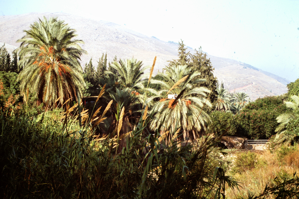 PICT1137.jpg