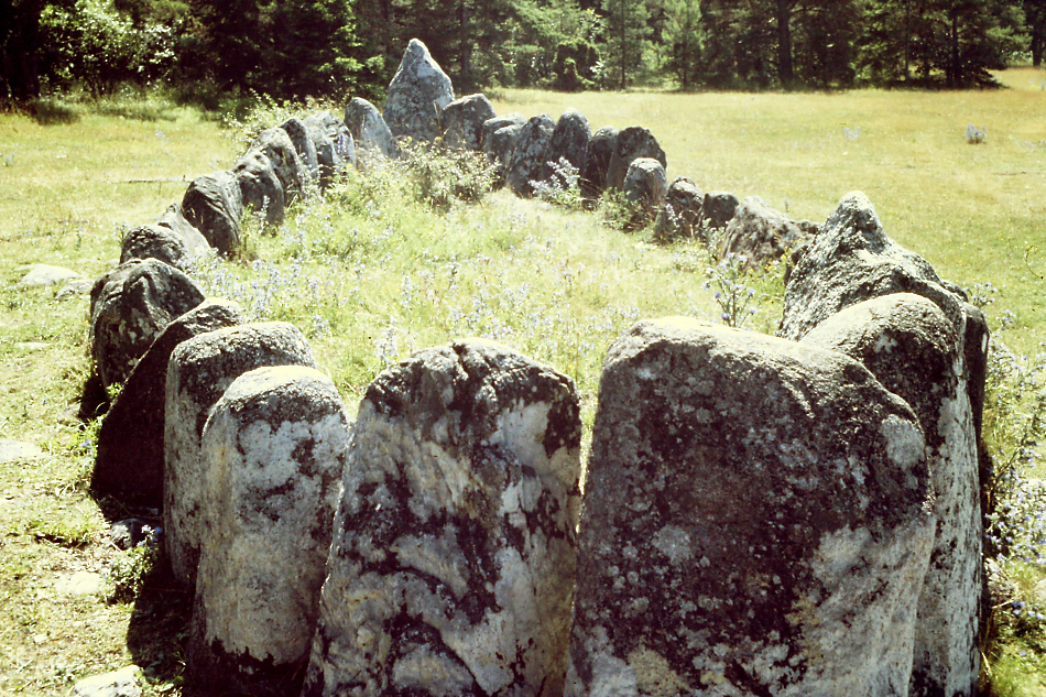 PICT1351.jpg