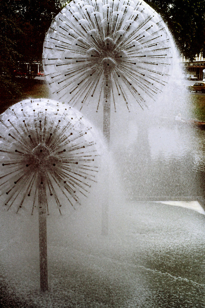 PICT1504.jpg