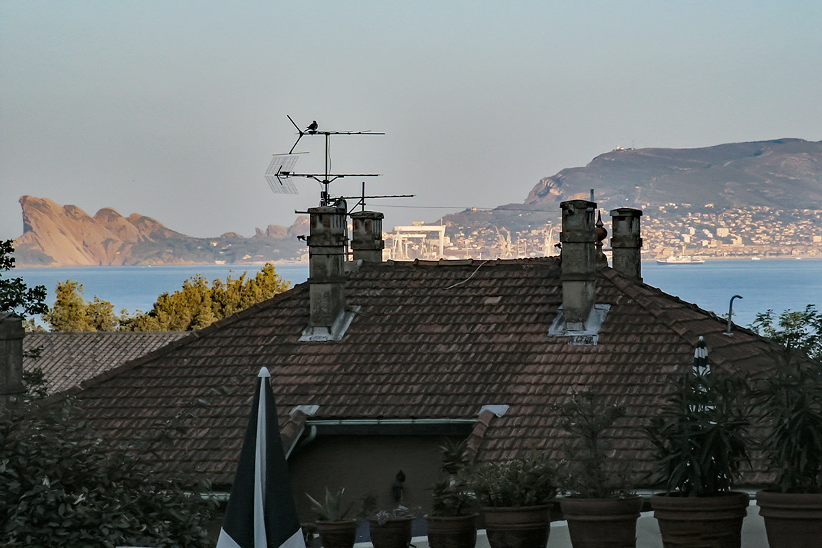 PICT2175KAxl.jpg