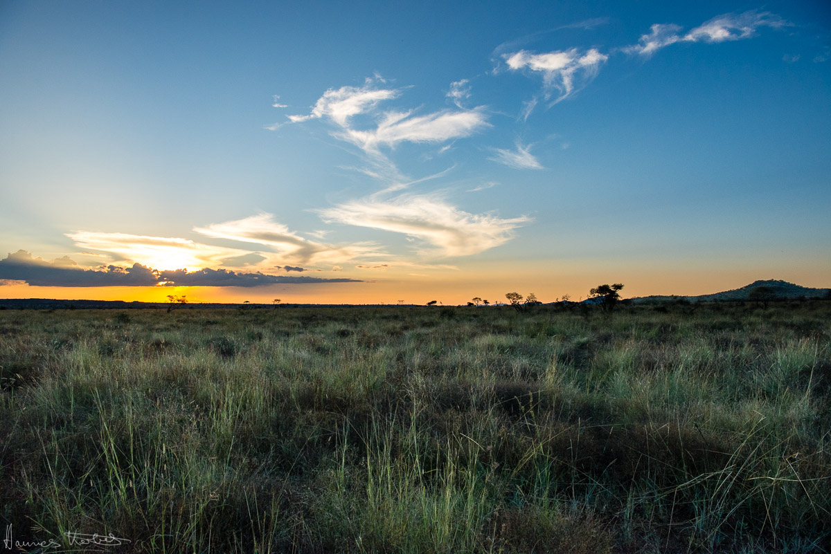 Pilanesberg National Park, South Africa