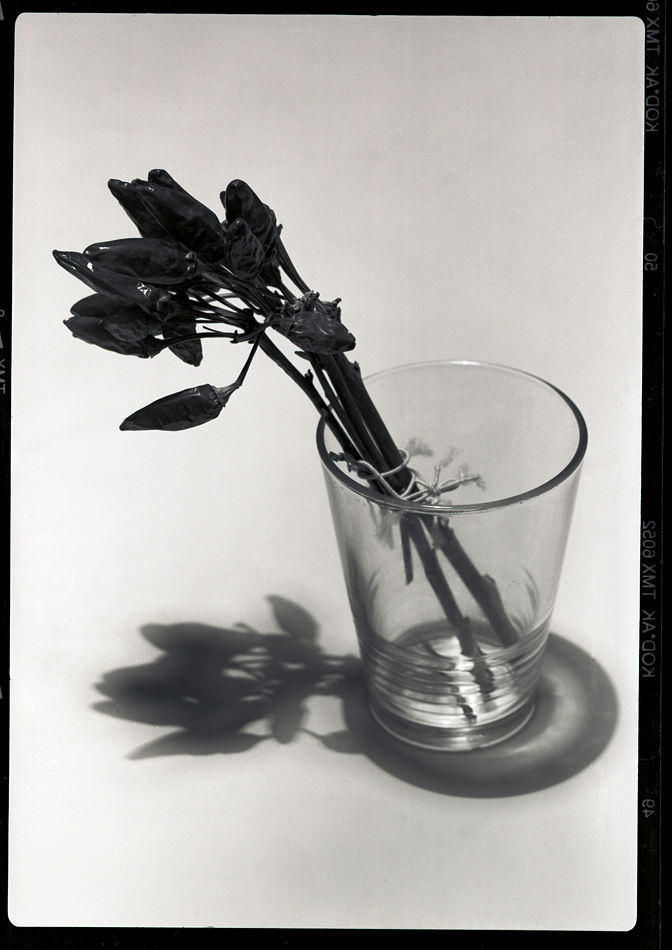 Plaubel Test 6x9 1