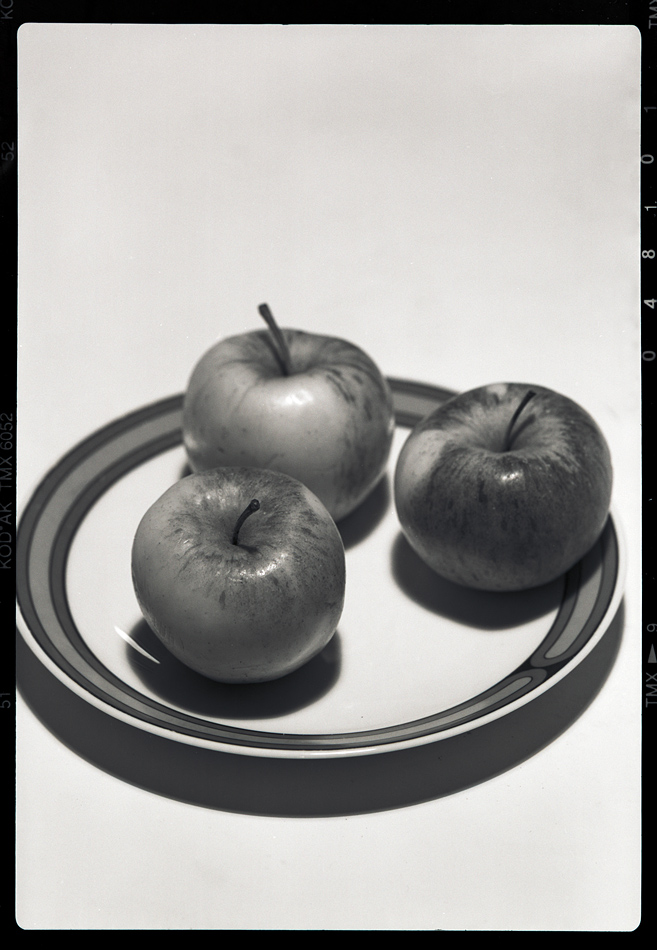 Plaubel Test 6x9 2