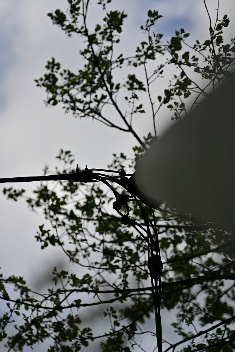 Plena_Äste-Bokeh5.jpg
