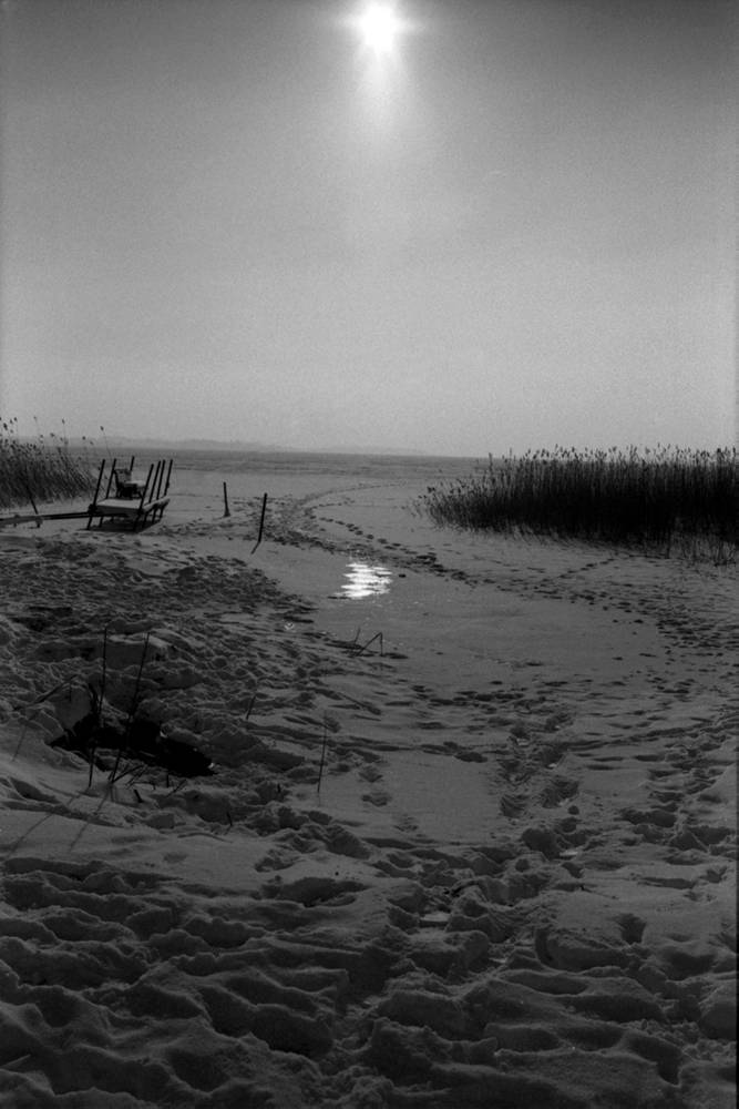plusXPan125 012web