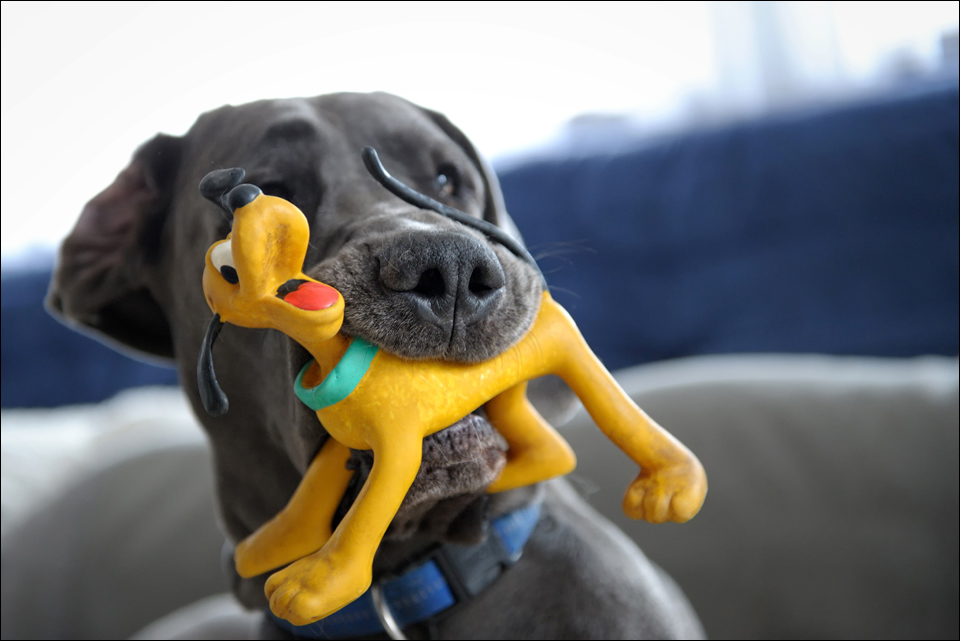 pluto_vs_pluto