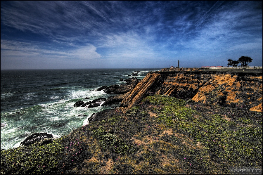 point reyes forum