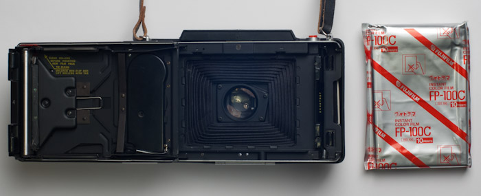 pola1