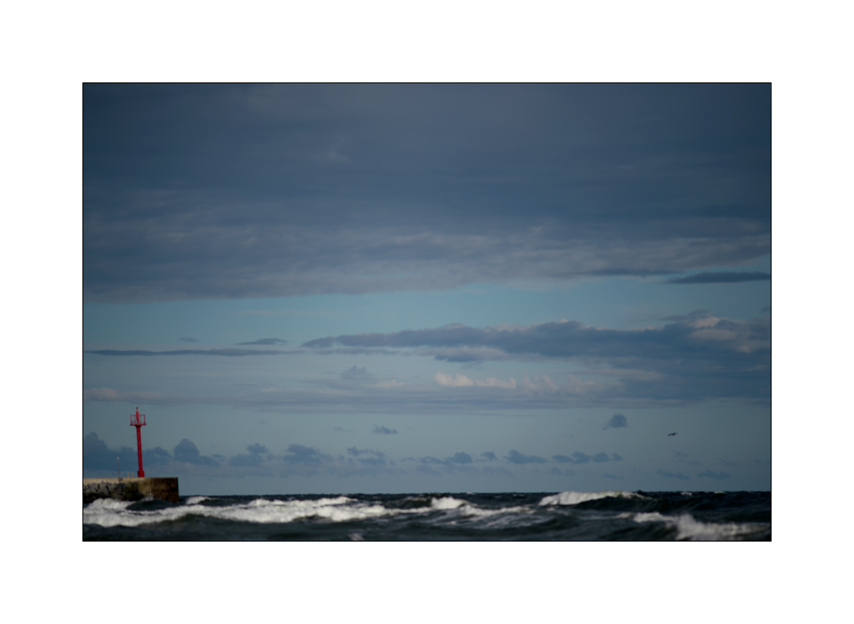 PolenD4F_2539.jpg