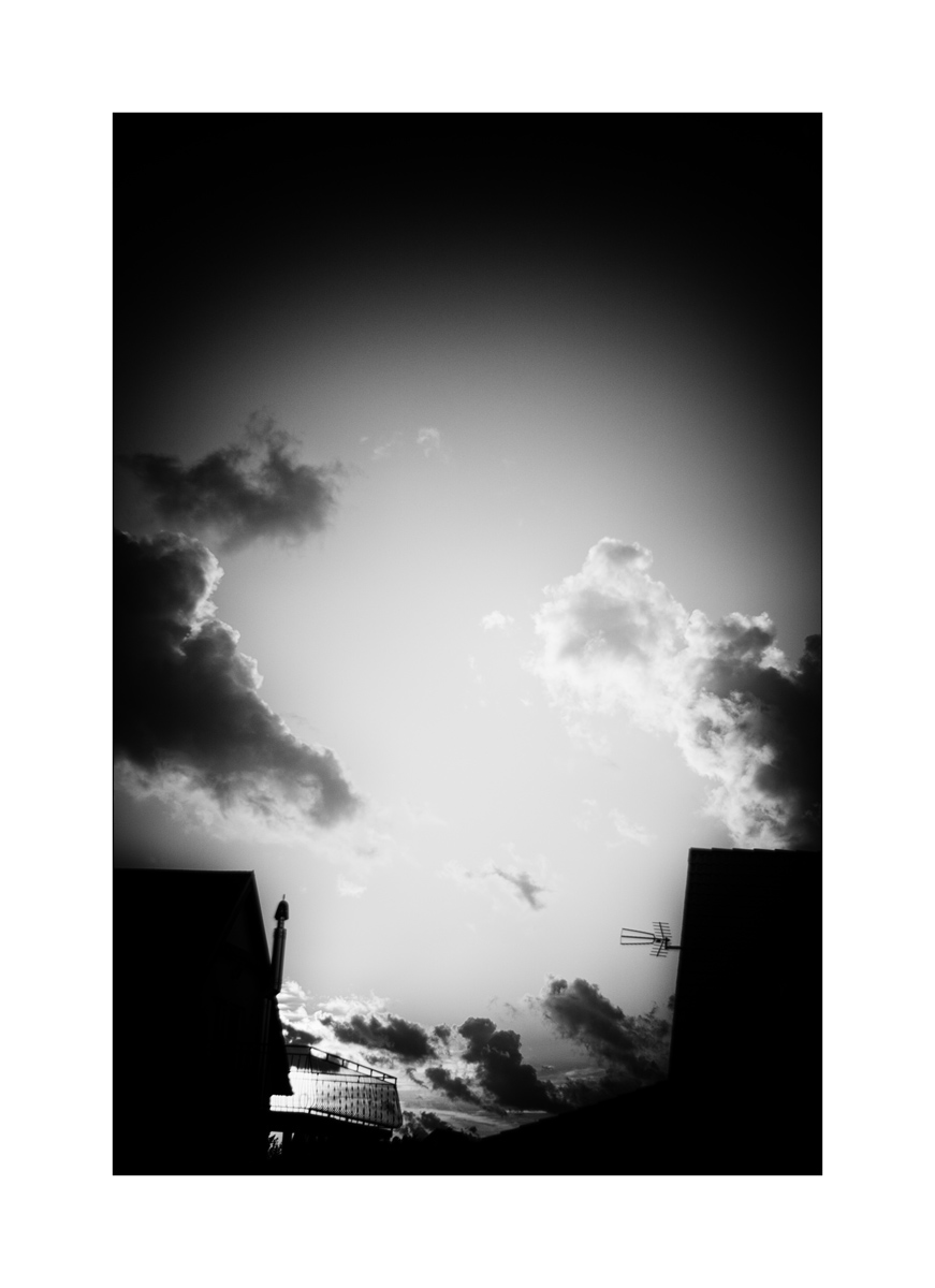 PolenDSC_3627.jpg