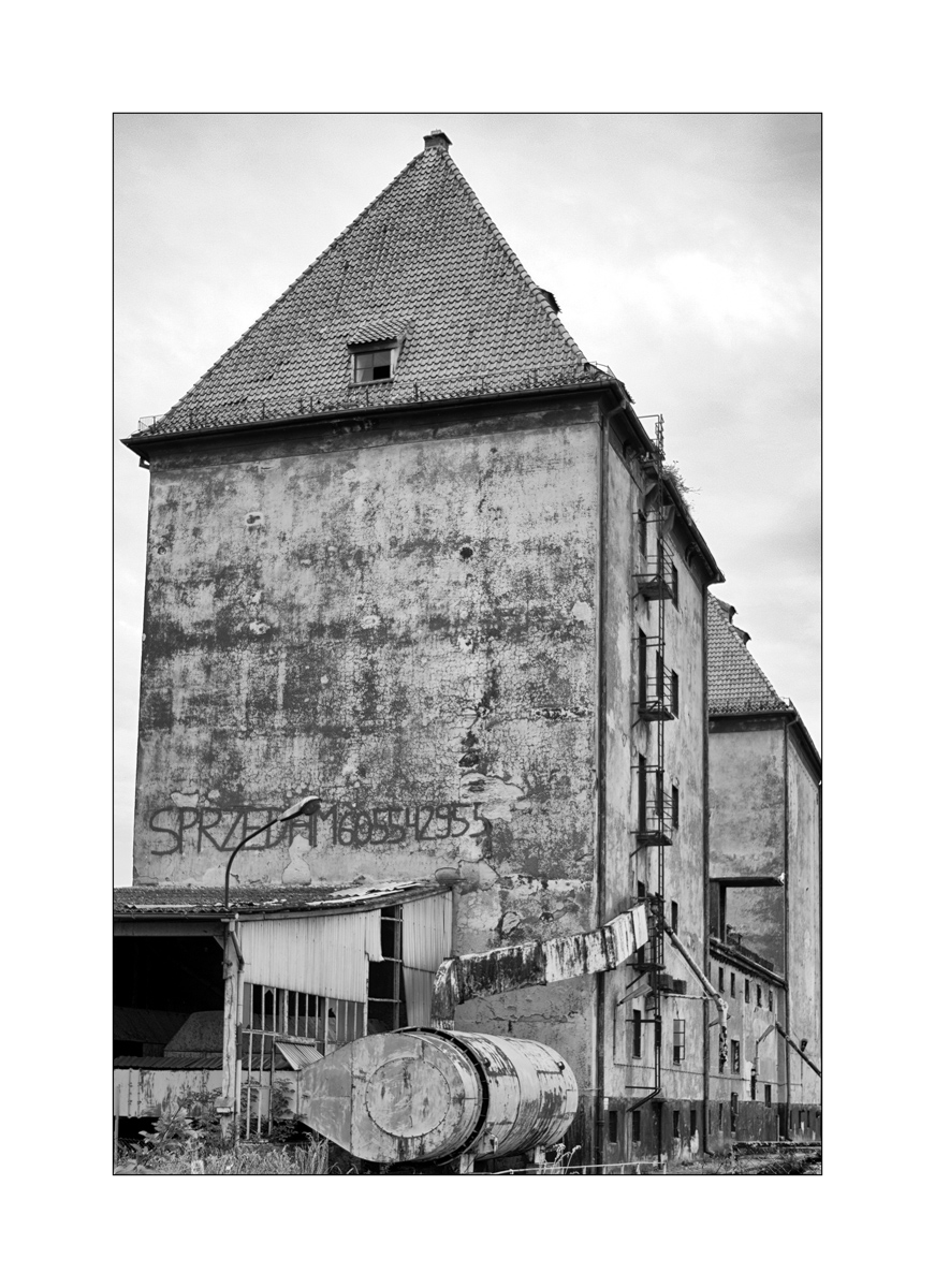 PolenDSC_3650.jpg