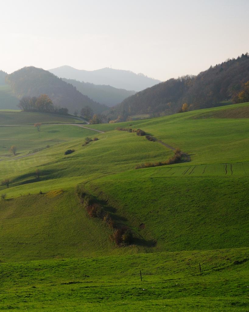 Polenstrasse