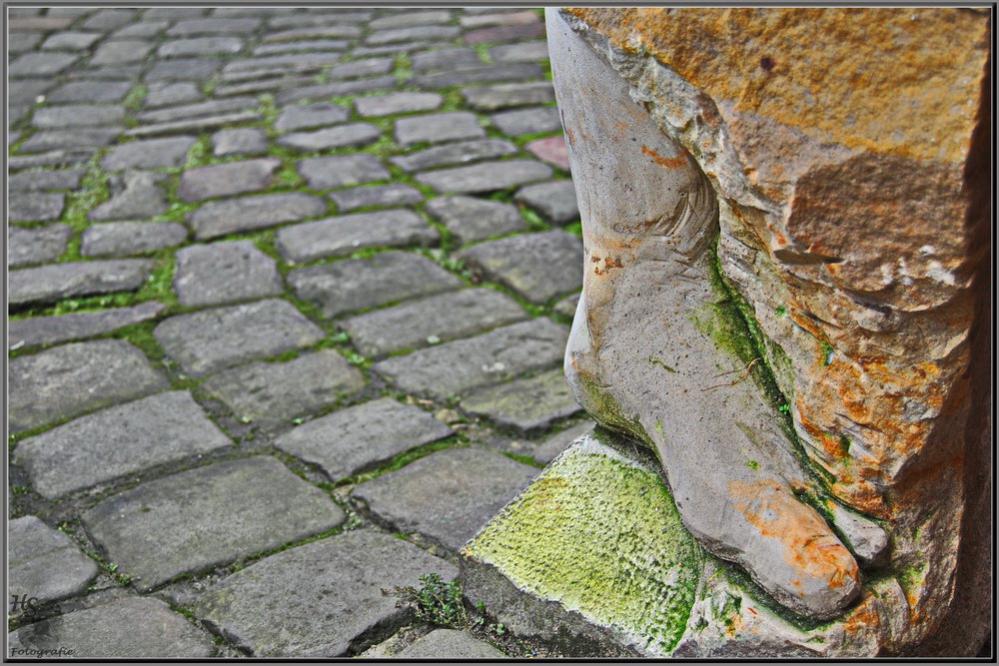 Poller Baumstrasse