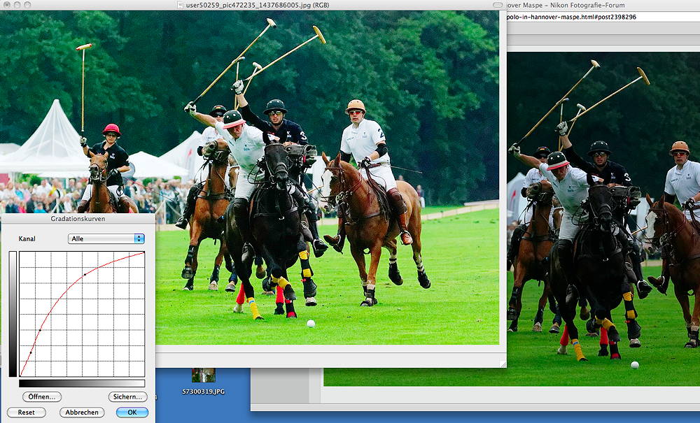 Polo Gradationskurve