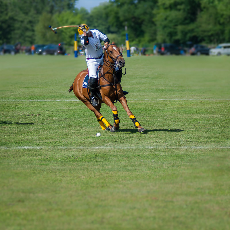 Poloturnier   Start Up Cup 2012  09. Juni 2012 0016
