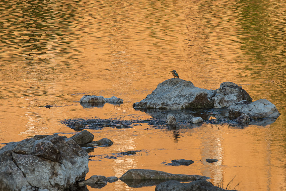 Pont du Gard 017 (1)