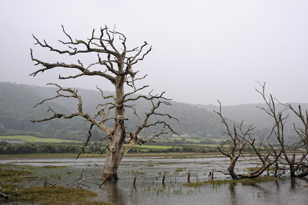 Porlock (Somerset)