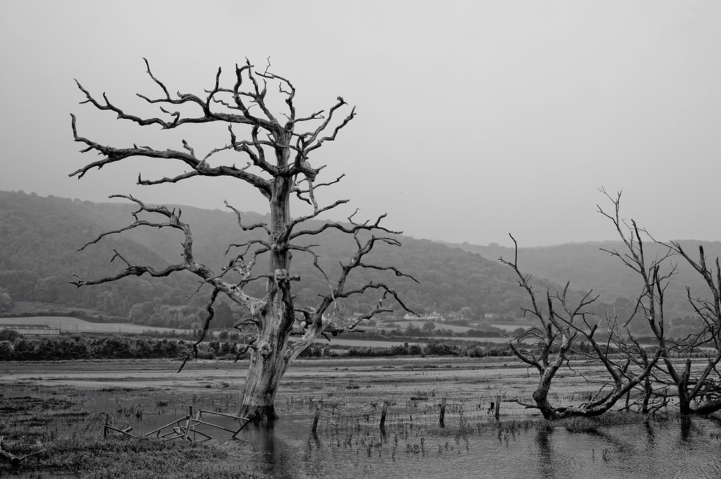 Porlock (Somerset)