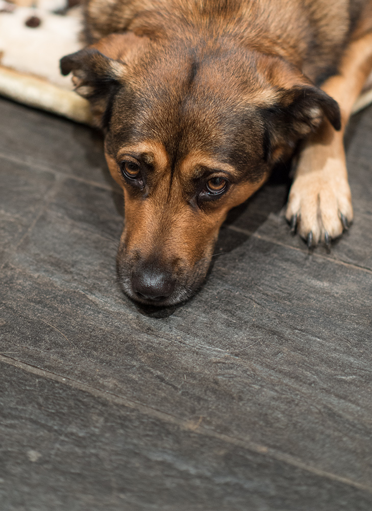 Portrait von Mrvi4