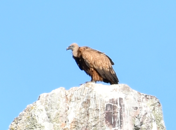 Postamt2