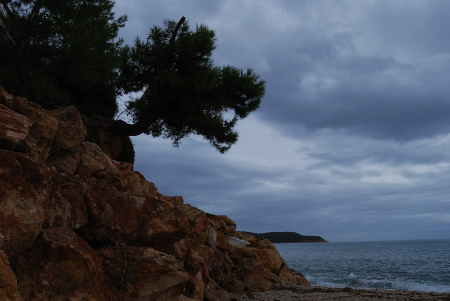 Potos auf Thassos