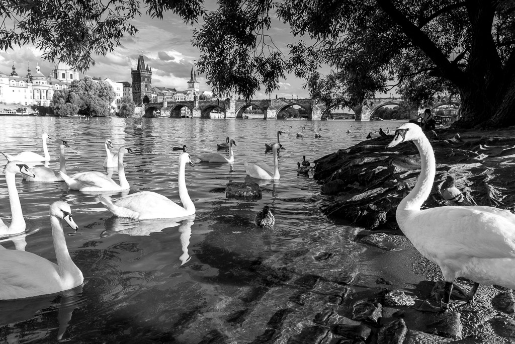 Prag 2904