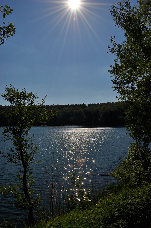 Pulvermaar