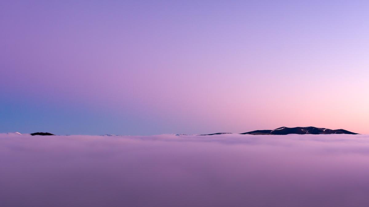 purple II