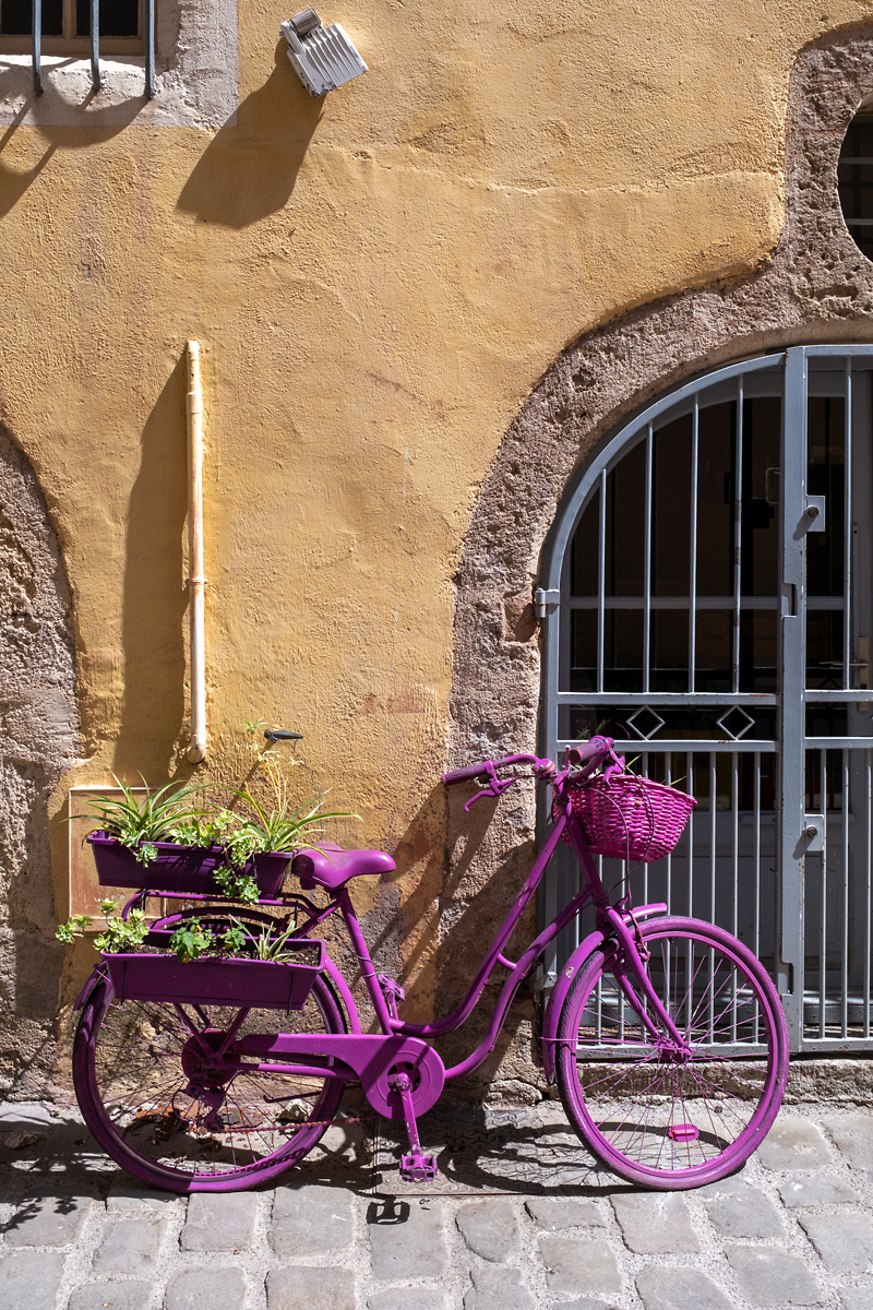 Purpur-Fahrrad