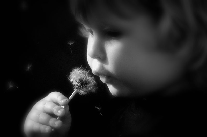 Pusteblume