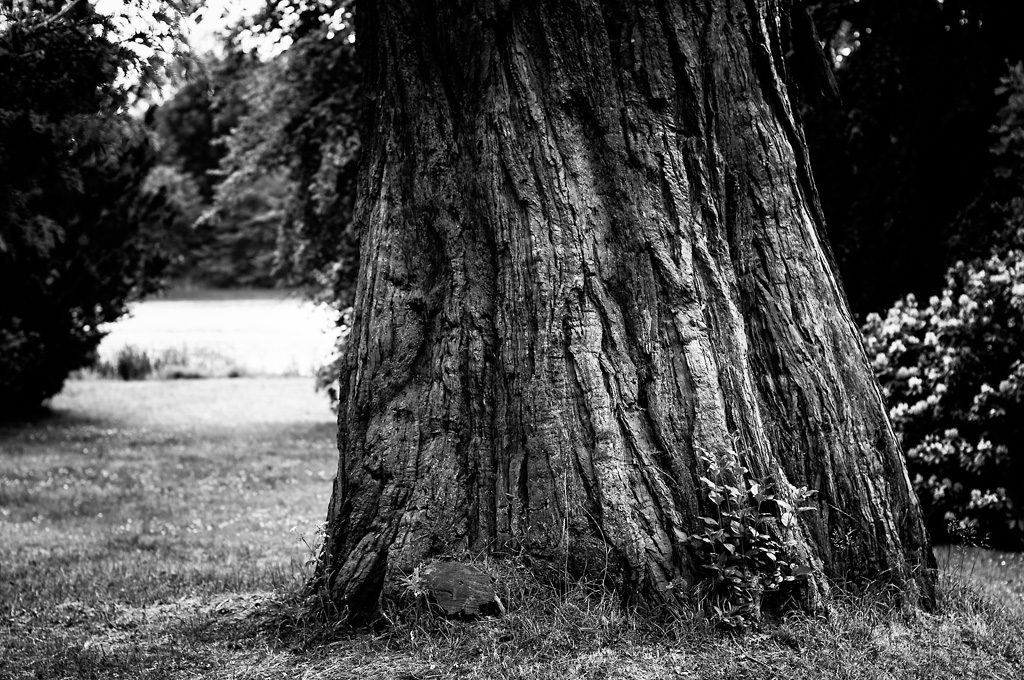 Putbus_01