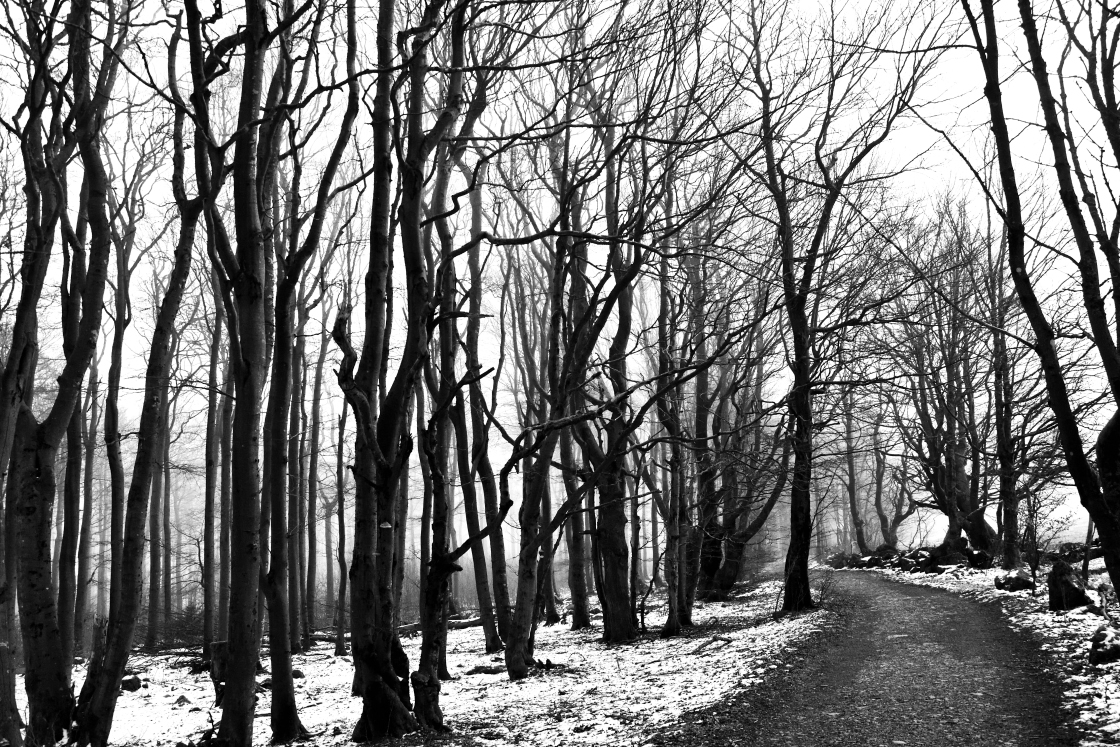 PVO_0670_00001_01.jpg