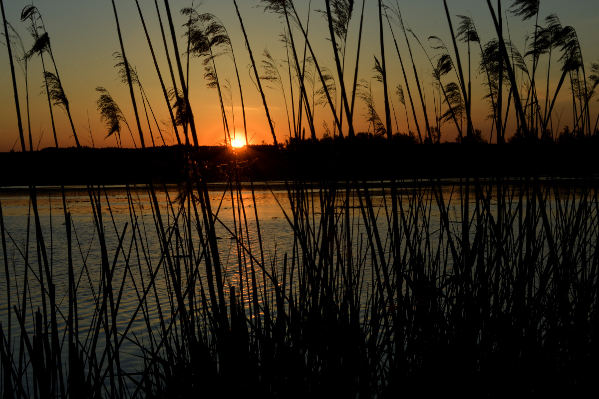 PVO_4783_00001_01.jpg