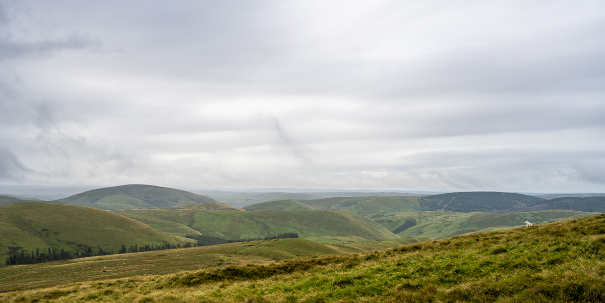 pw_20250908_3551.jpg