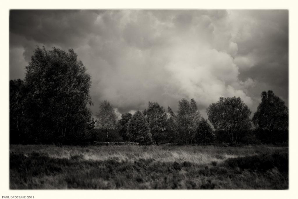 "Deutscher Herbst # 3"