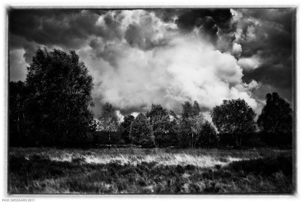 "Deutscher Herbst"
D3s, Summicron, R50f2, f5,6, ISO 200, 1/1000sec