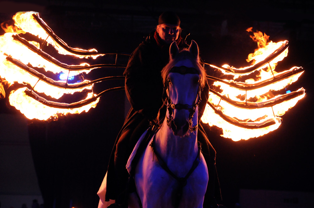 "Feuerreiter" Hund und Pferd-Messe