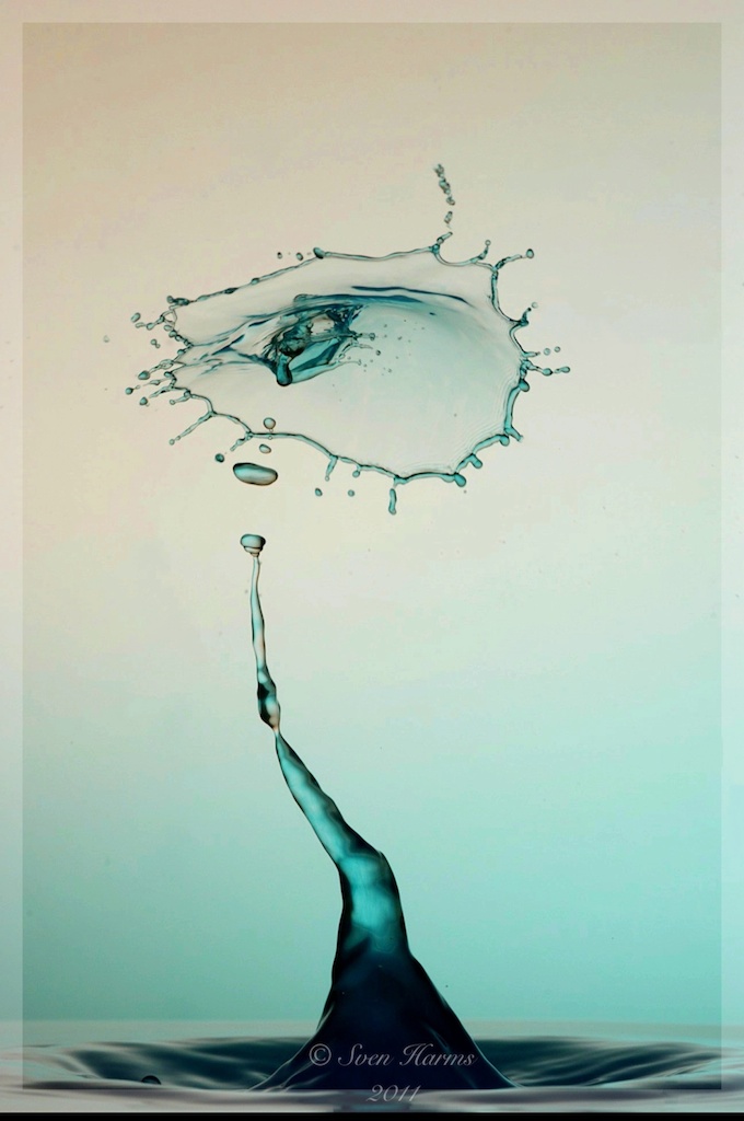 "Regenschirm"