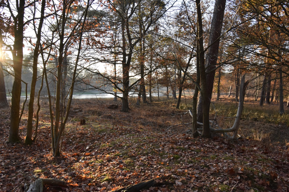 "Schwarzes Wasser" bei Wesel